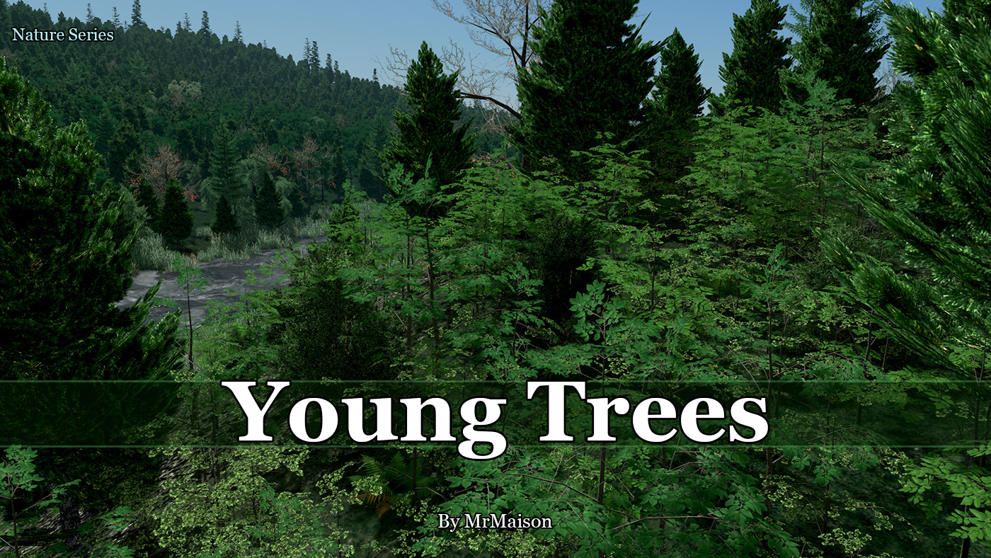YoungTree Promo.jpg